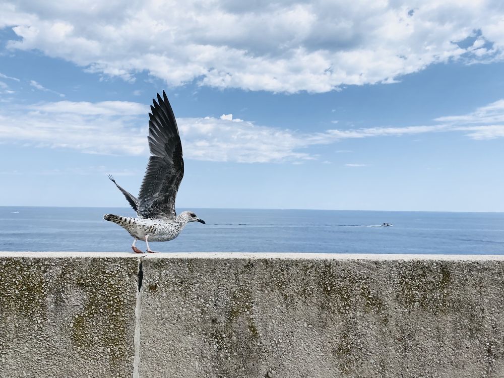 Photograph by Svetlana Kornilova