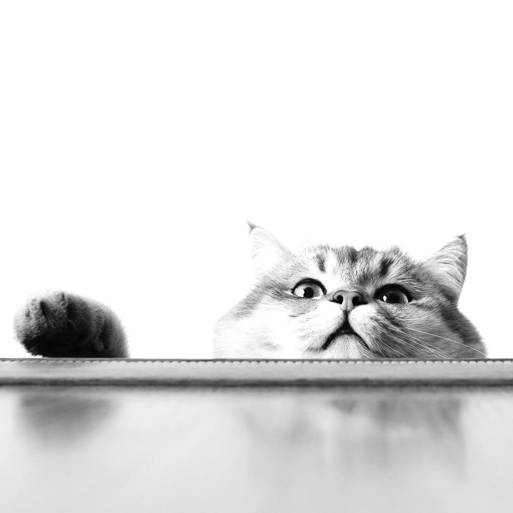 Фотография автора Валентин Ефимов