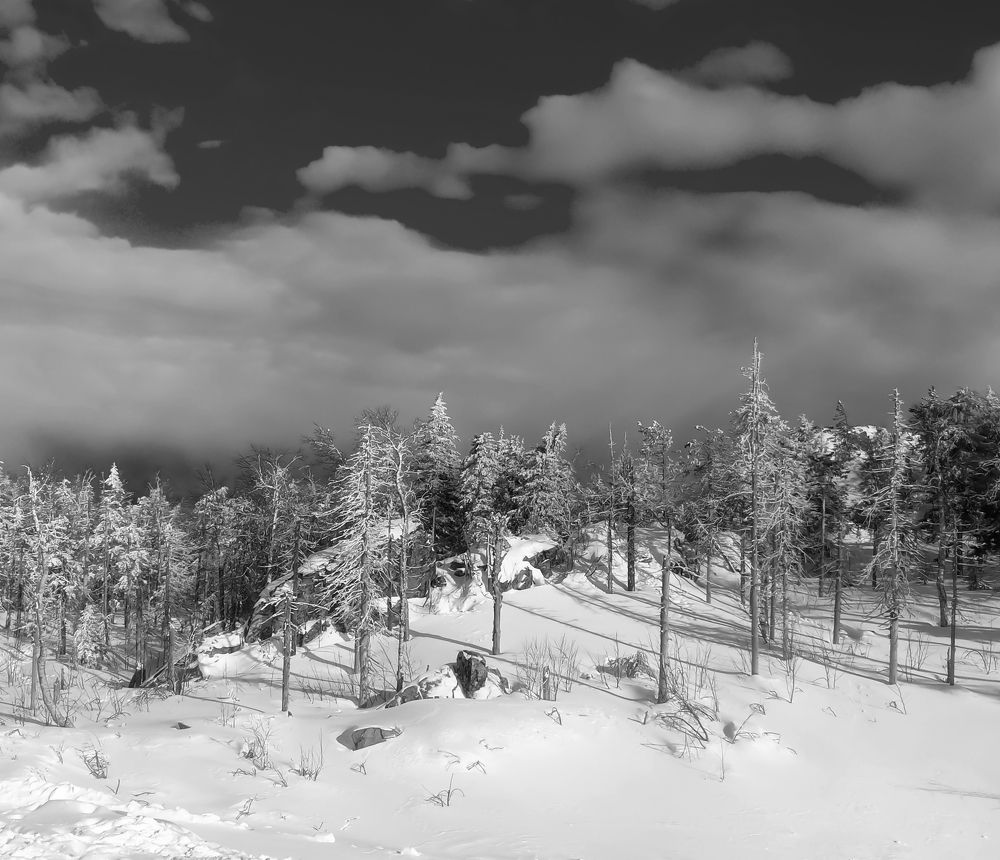 Photograph by Максим Фролов