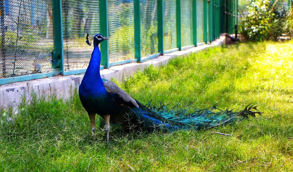 Photograph by Mohammad Ali Ataei Daryaei