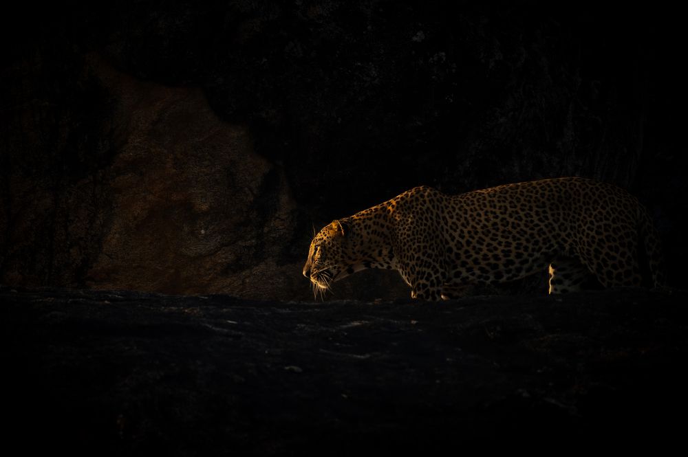 Фотография автора Thivanka Ilanperuma