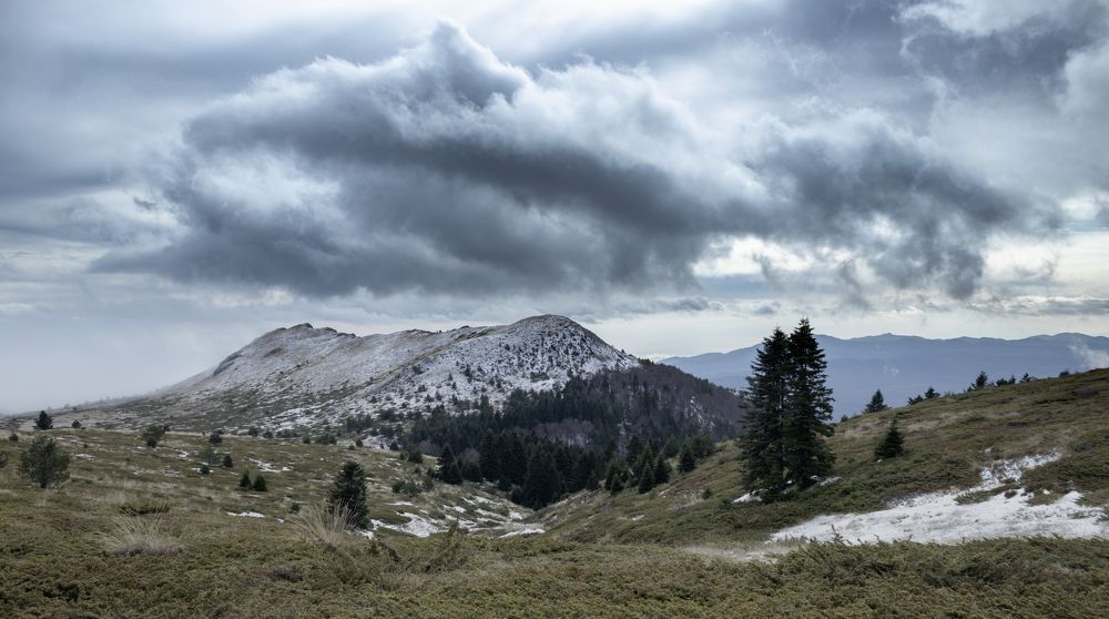 Photograph by Sajkovski Dejan