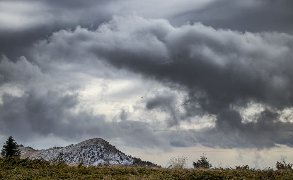 Photograph by Sajkovski Dejan