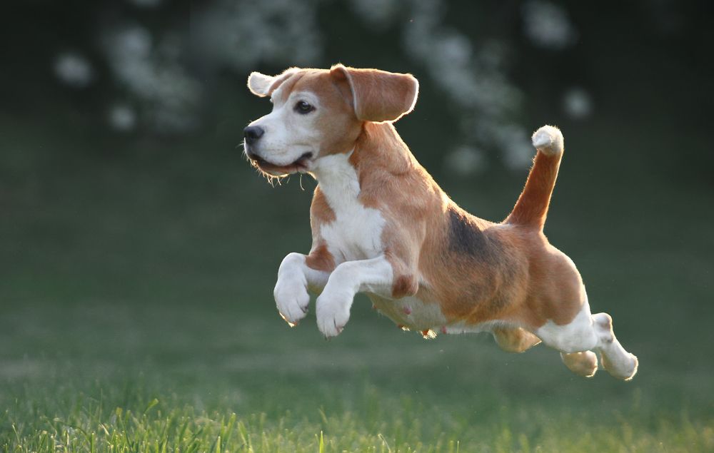 Фотография автора Katerina Mumzhinskaya