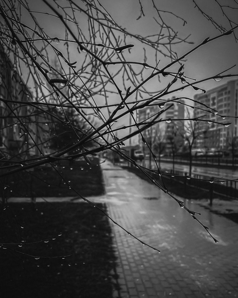 Photograph by Марина Тверитнева