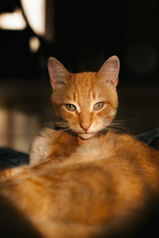 Photograph by Гульшат Хаертдинова