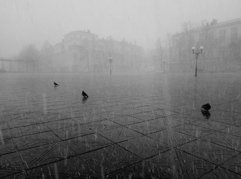 Photograph by Гульшат Хаертдинова