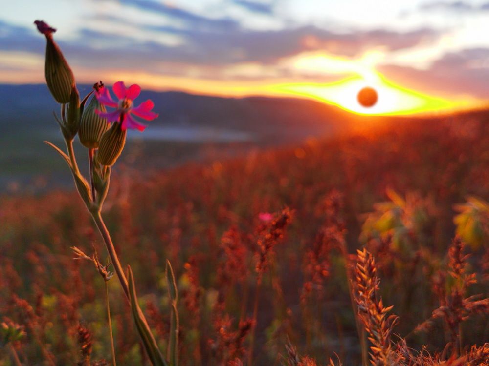 Photograph by Светлана Борозенцева