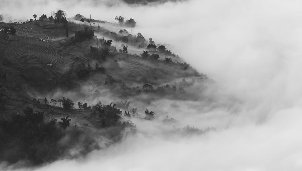 Photograph by Trần Anh Tuấn