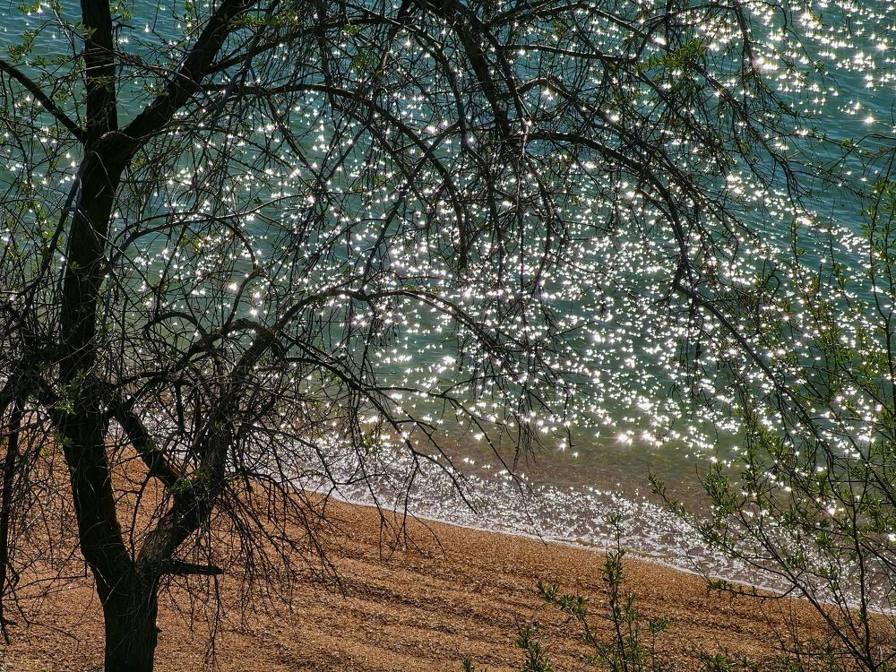 Photograph by Светлана Борозенцева