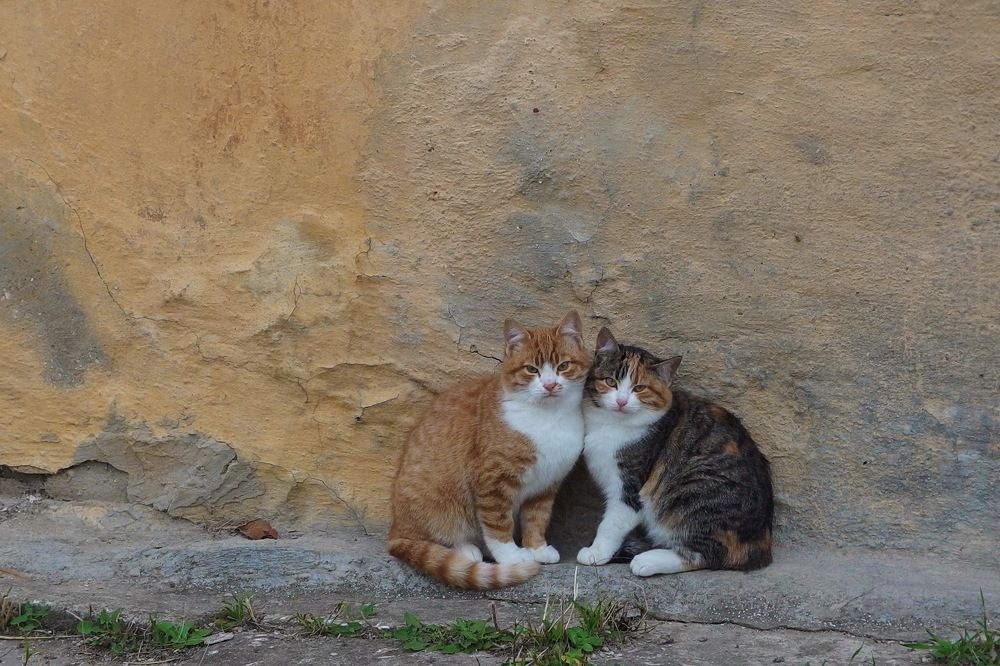 Photograph by Светлана Борозенцева