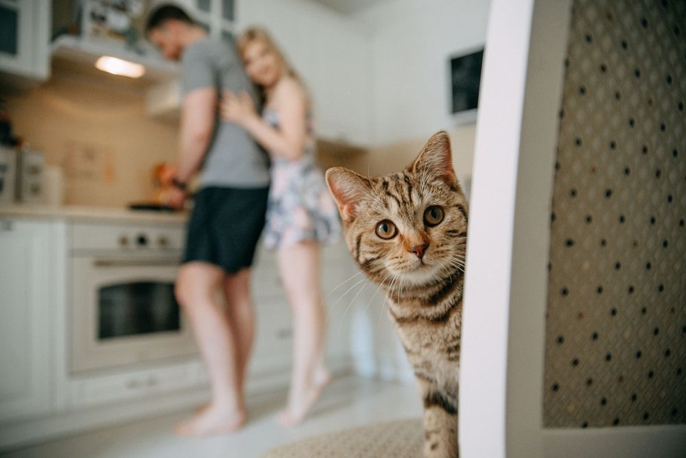 Photograph by Кристина Савиновская