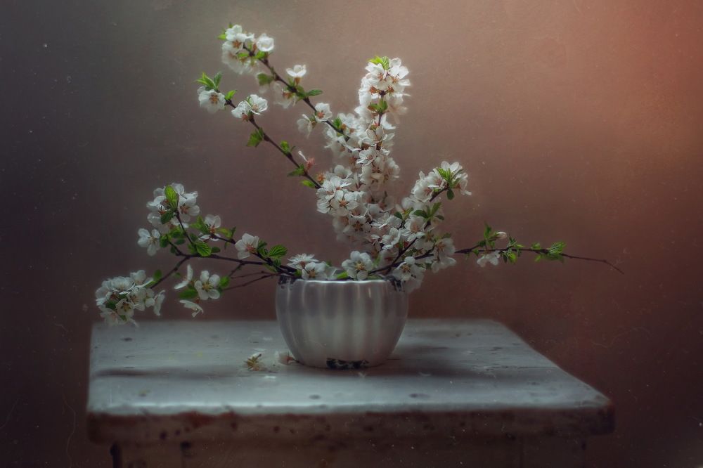 Photograph by Svoboda Andreeva