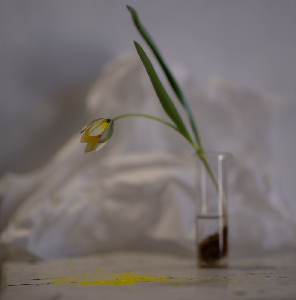 Photograph by Svoboda Andreeva