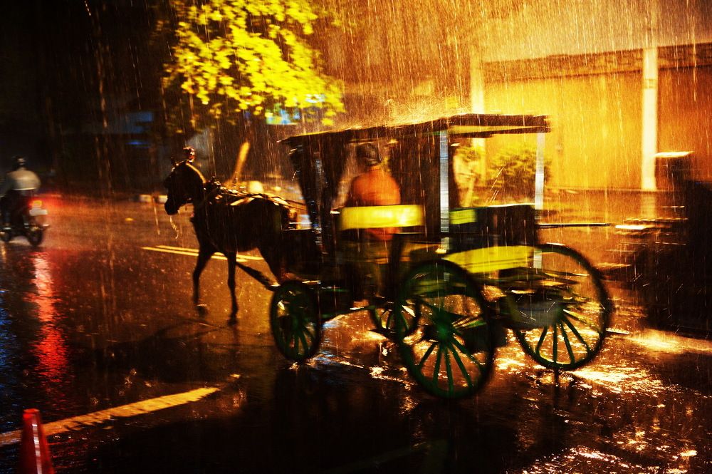 Photograph by Светлана Борозенцева