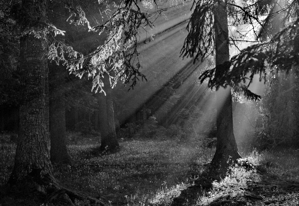 Photograph by Светлана Борозенцева