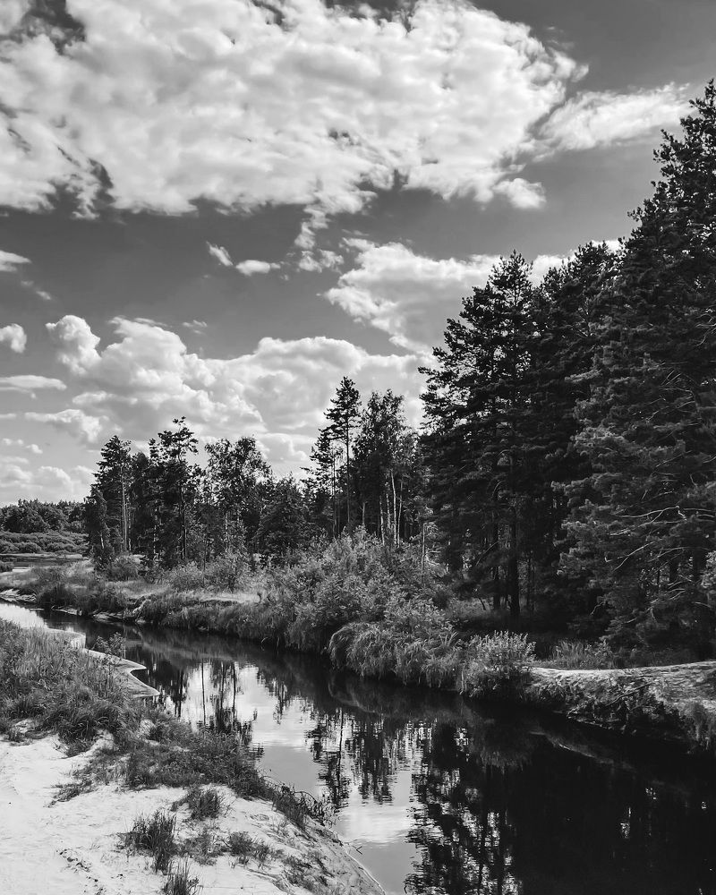 Photograph by Марина Тверитнева