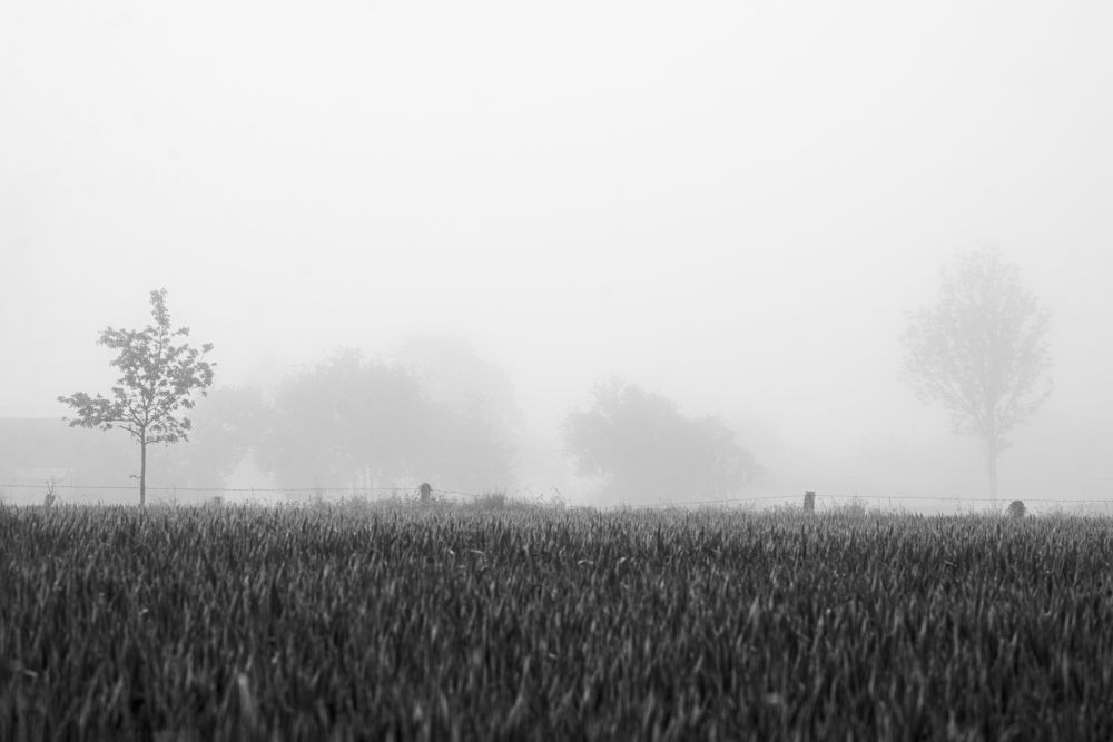 Photograph by Запылаева Анна