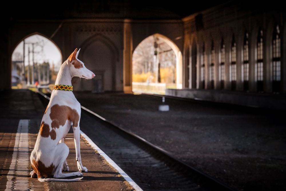 Photograph by Мария Новоселецкая