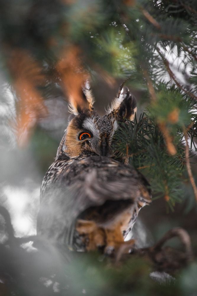 Photograph by Татьяна Кормашова