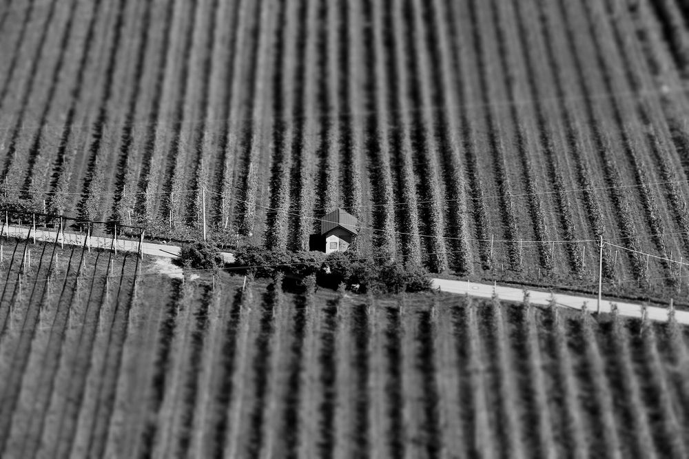 Photograph by FABIO QUICI