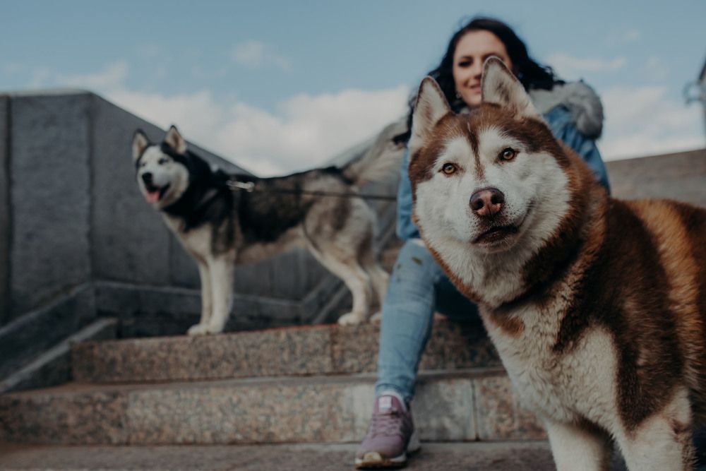 Photograph by Кристина Савиновская