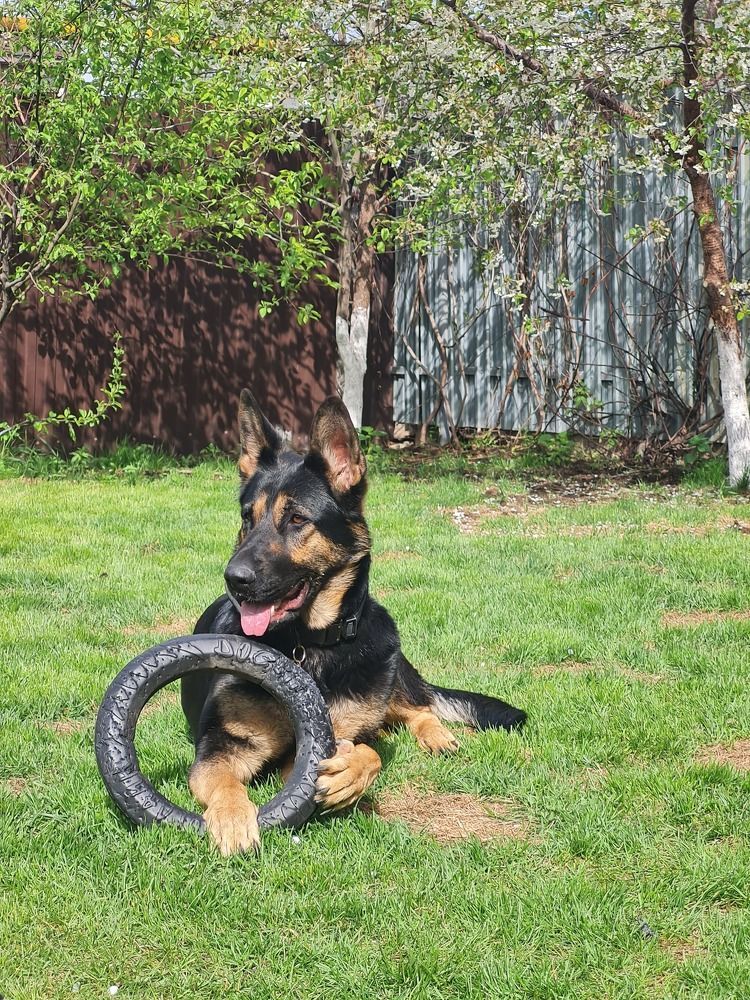 Photograph by Tatiana Denisova