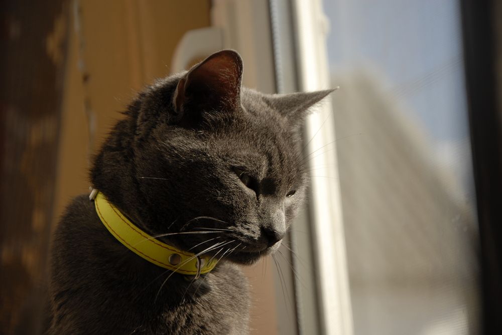 Долгая дорога домой