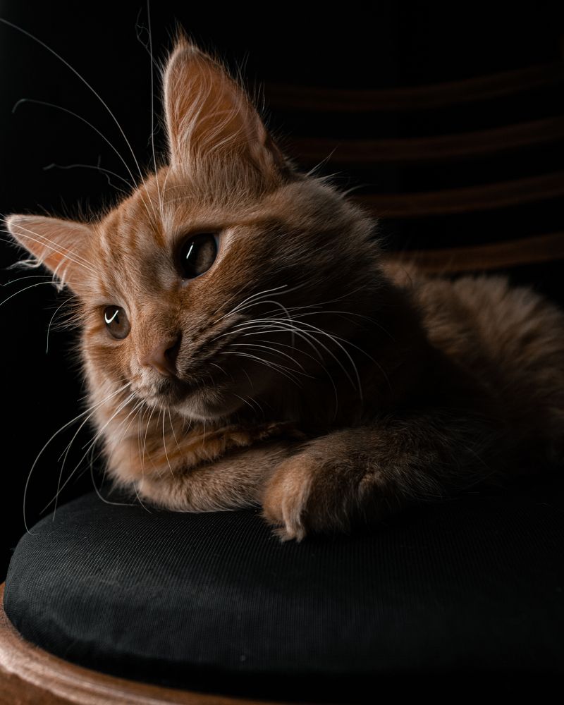 Photograph by Ирина Кочергина