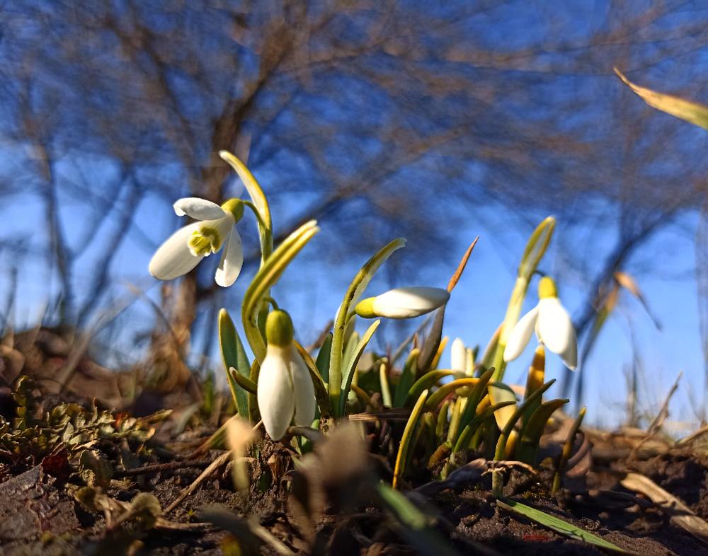 Photograph by Ольга Стариченко