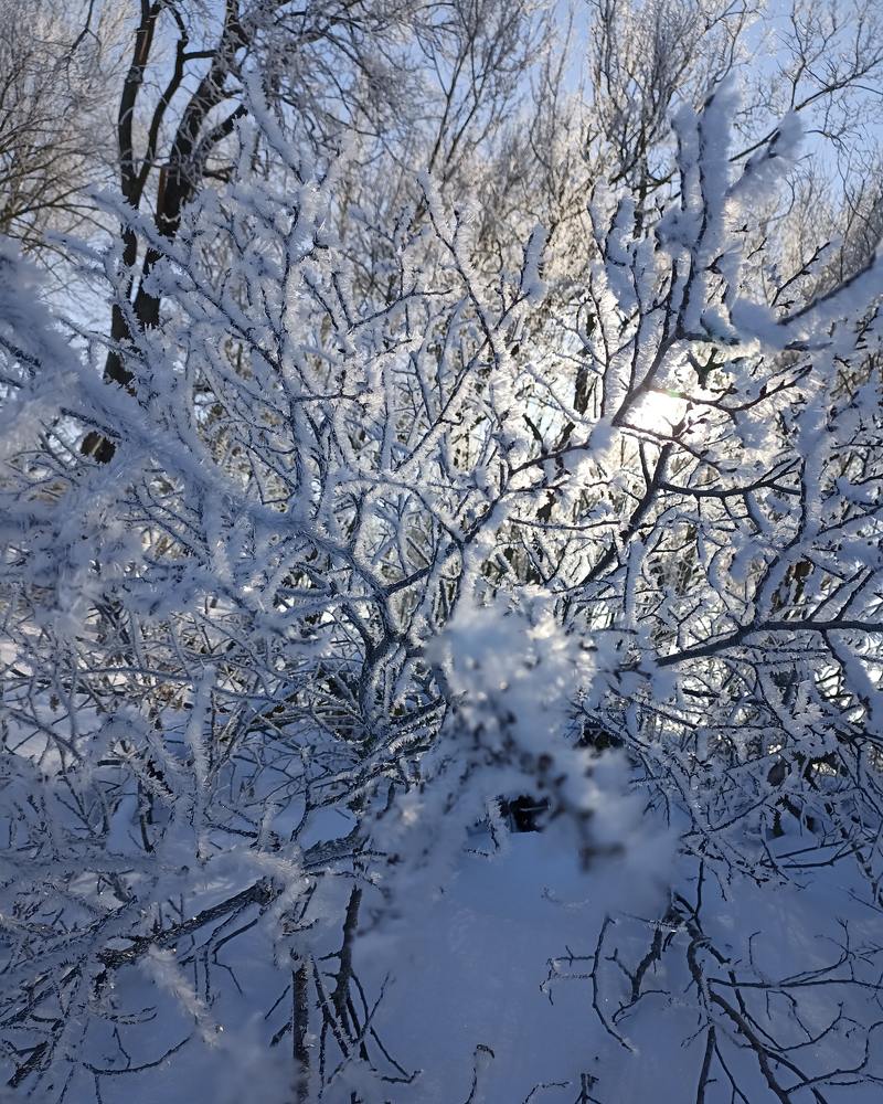 Photograph by Ольга Стариченко