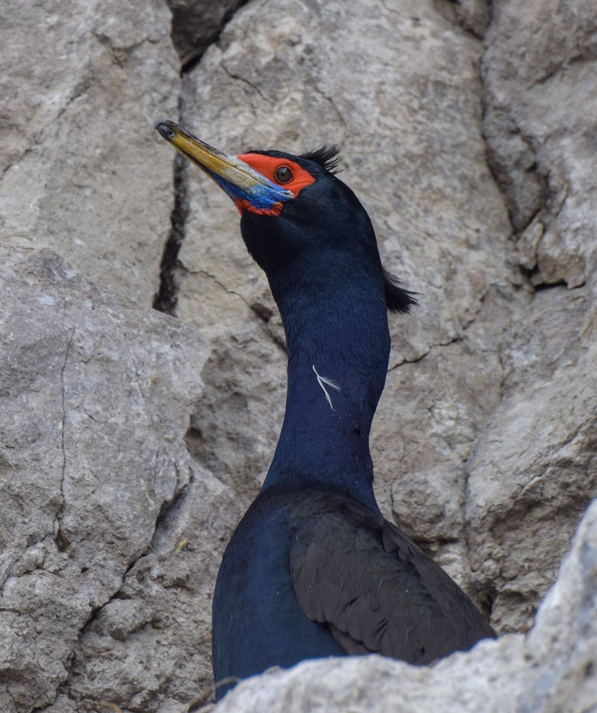 Photograph by Наталья Королева