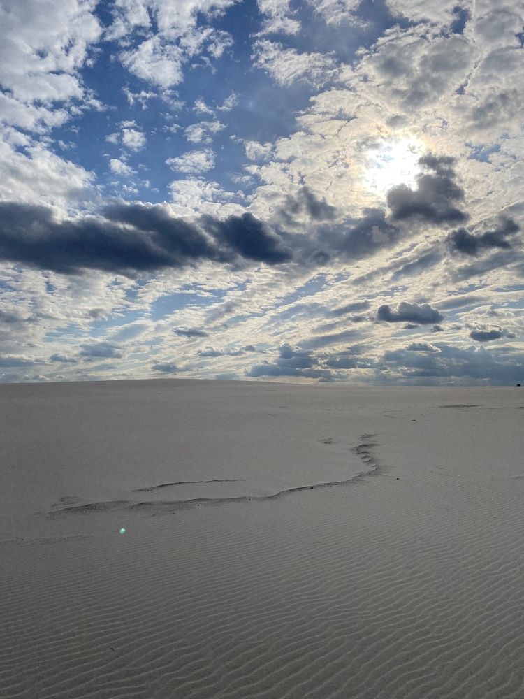 Фотография автора Элла Ляхова