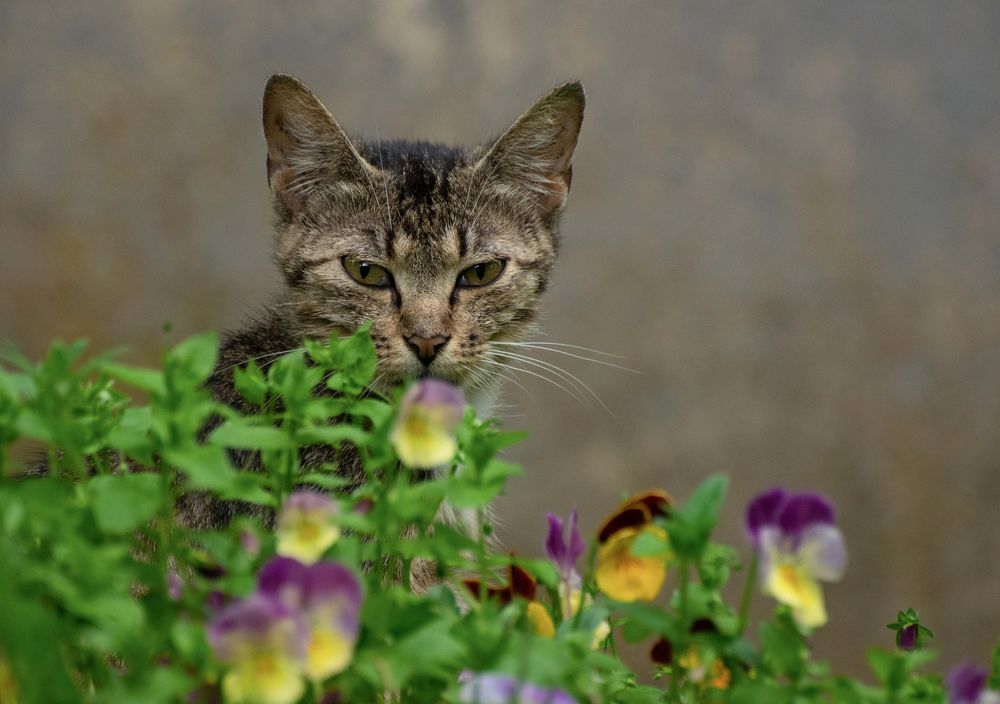 Photograph by Наталья Королева