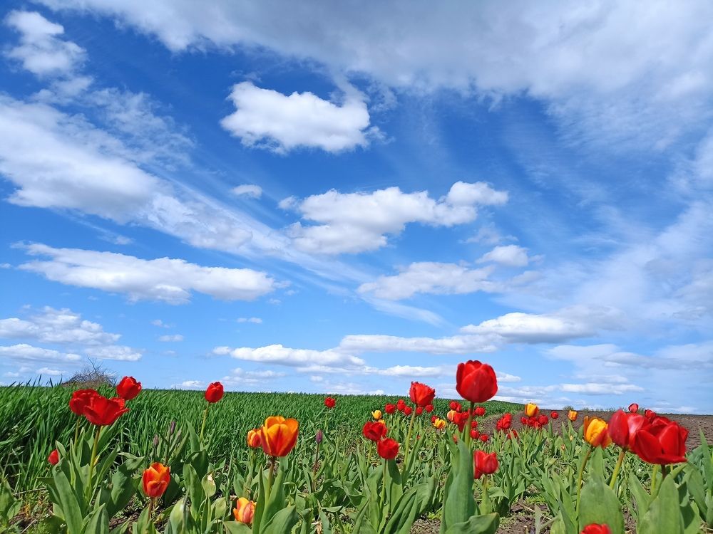 Photograph by Ольга Стариченко