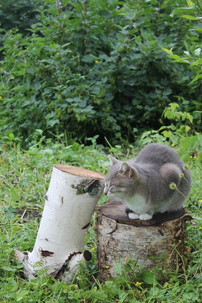 Photograph by Екатерина Хозяшева