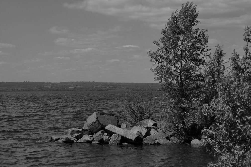 Черно-белое лето