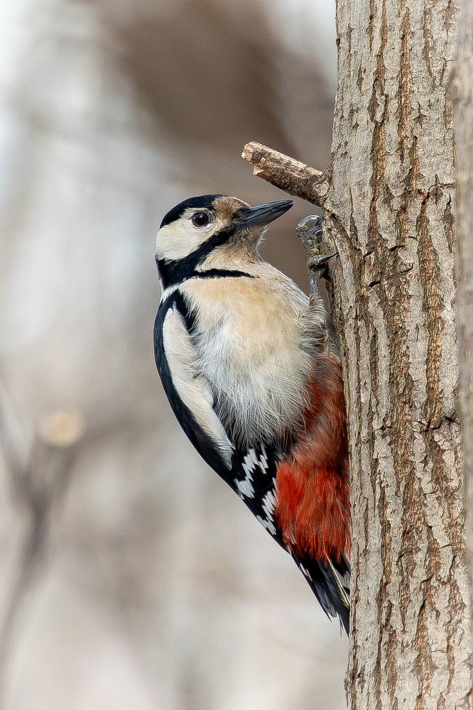 Photograph by Кузнецов Дмитрий