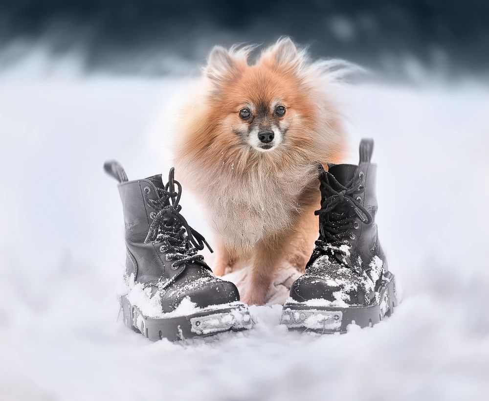 Фотография автора Eugenia Tuzova