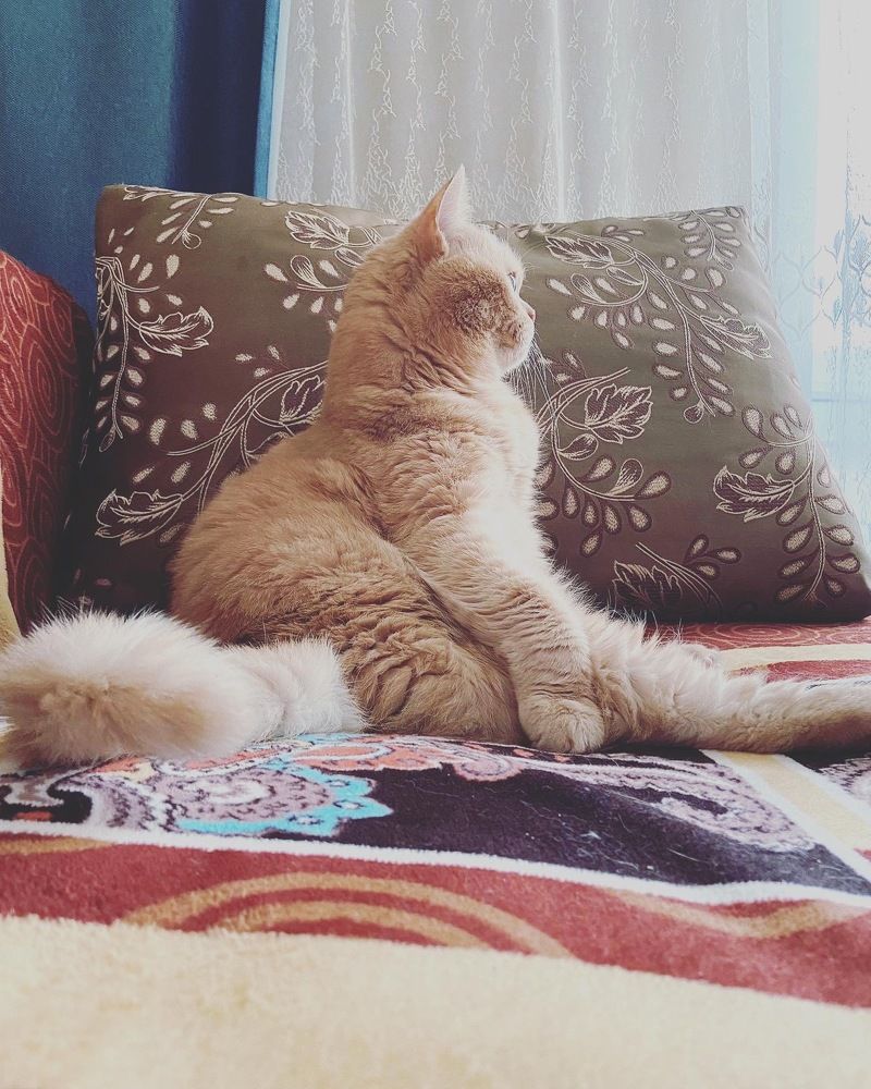 Photograph by Олеся Чехунова