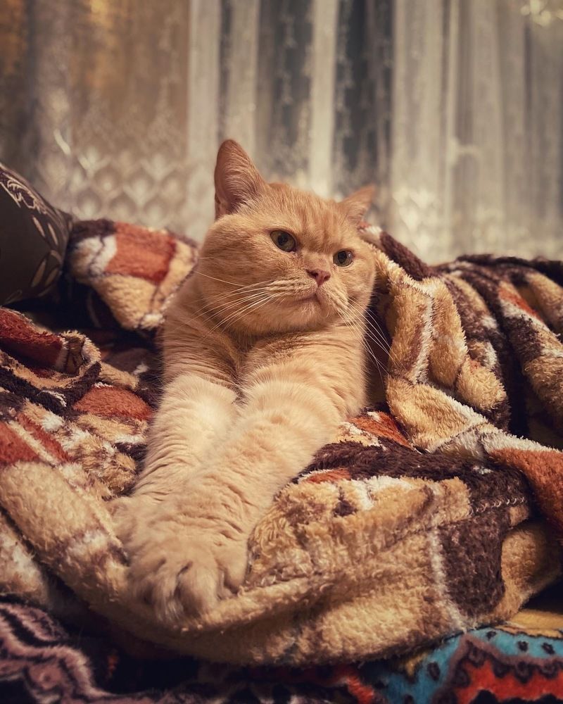 Photograph by Олеся Чехунова