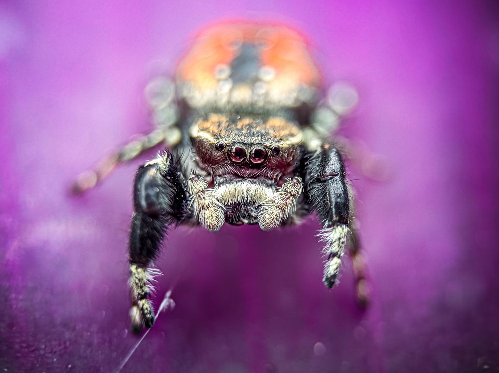 Photograph by Bistupada