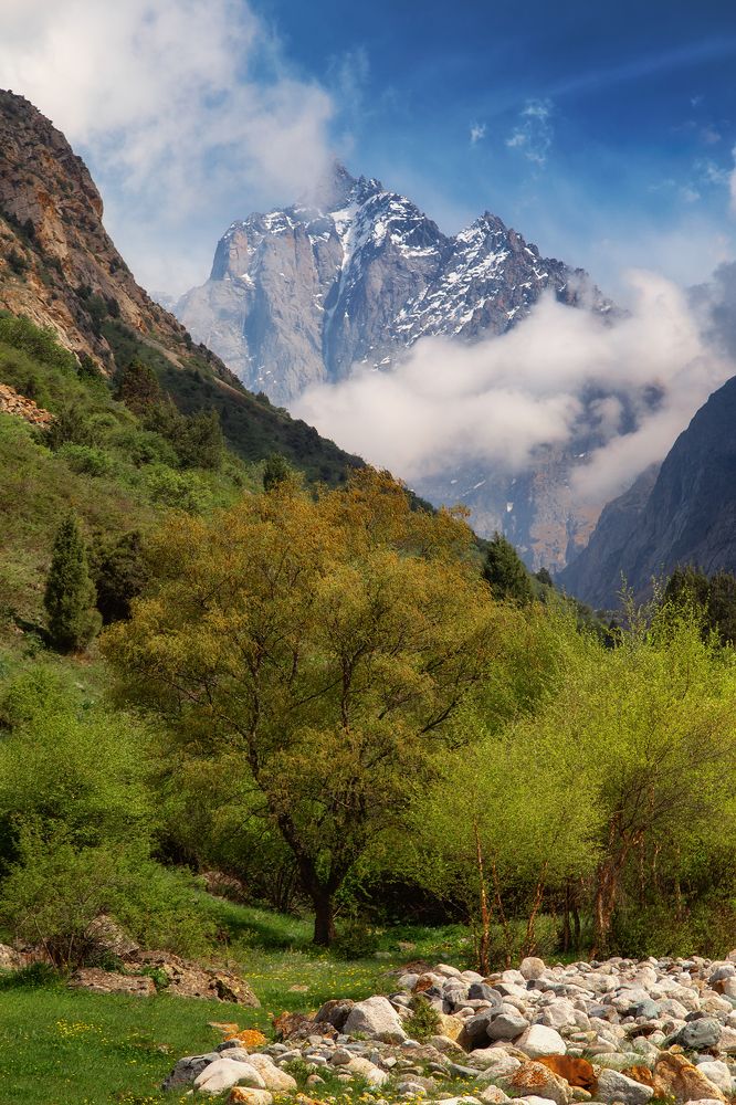 Майский сон