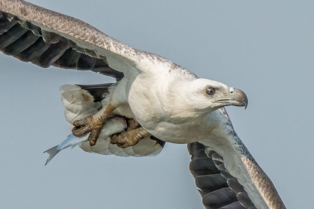 Photograph by Jeffrey Loek