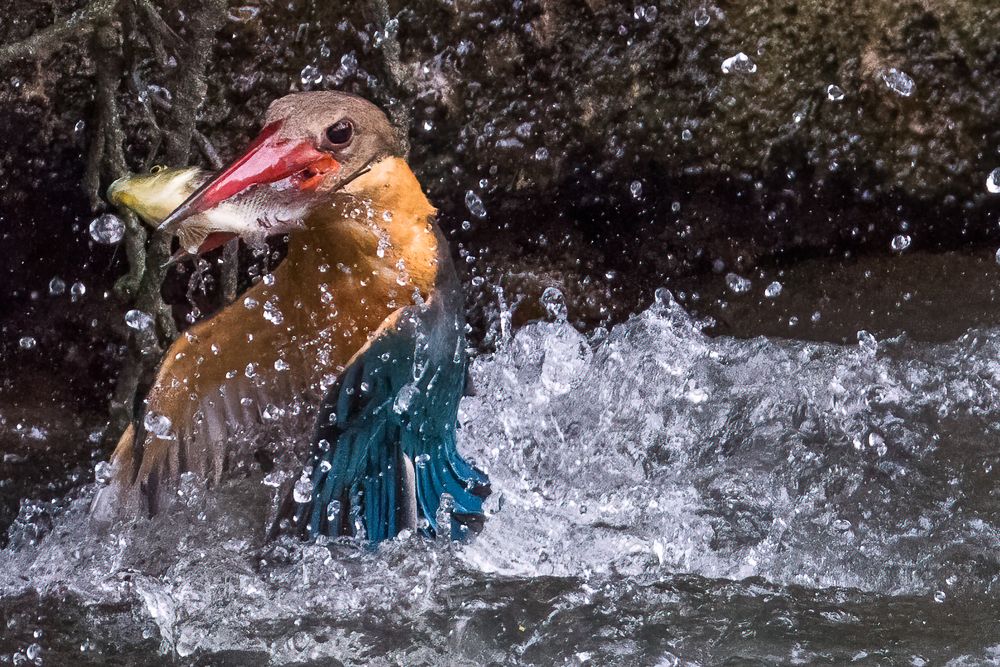 Photograph by Jeffrey Loek