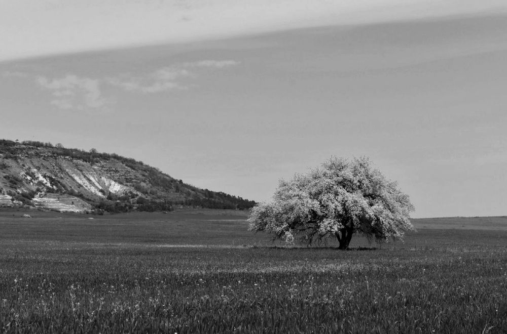 Photograph by Екатерина Гордеева