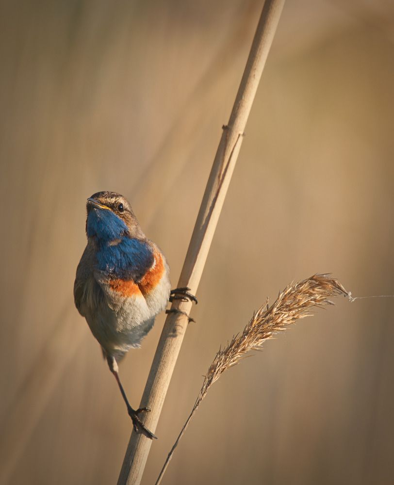 Фотография автора Андрей Жила