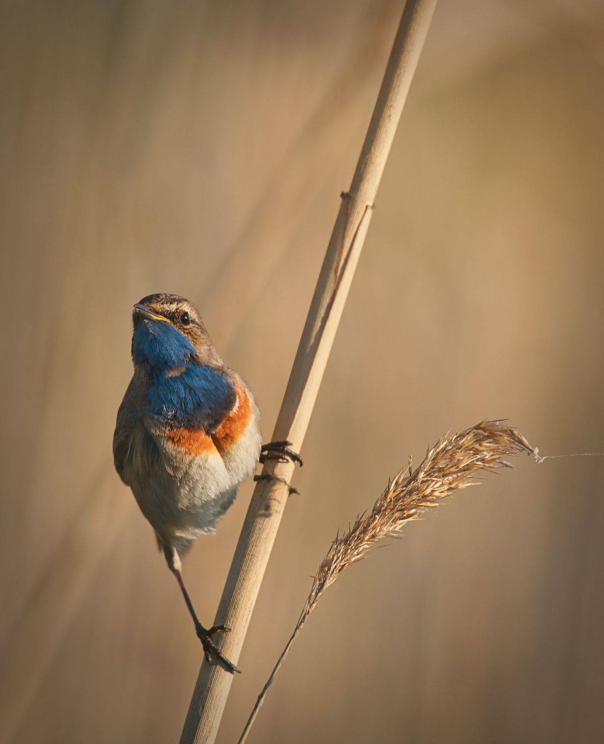 Фотография #7567044