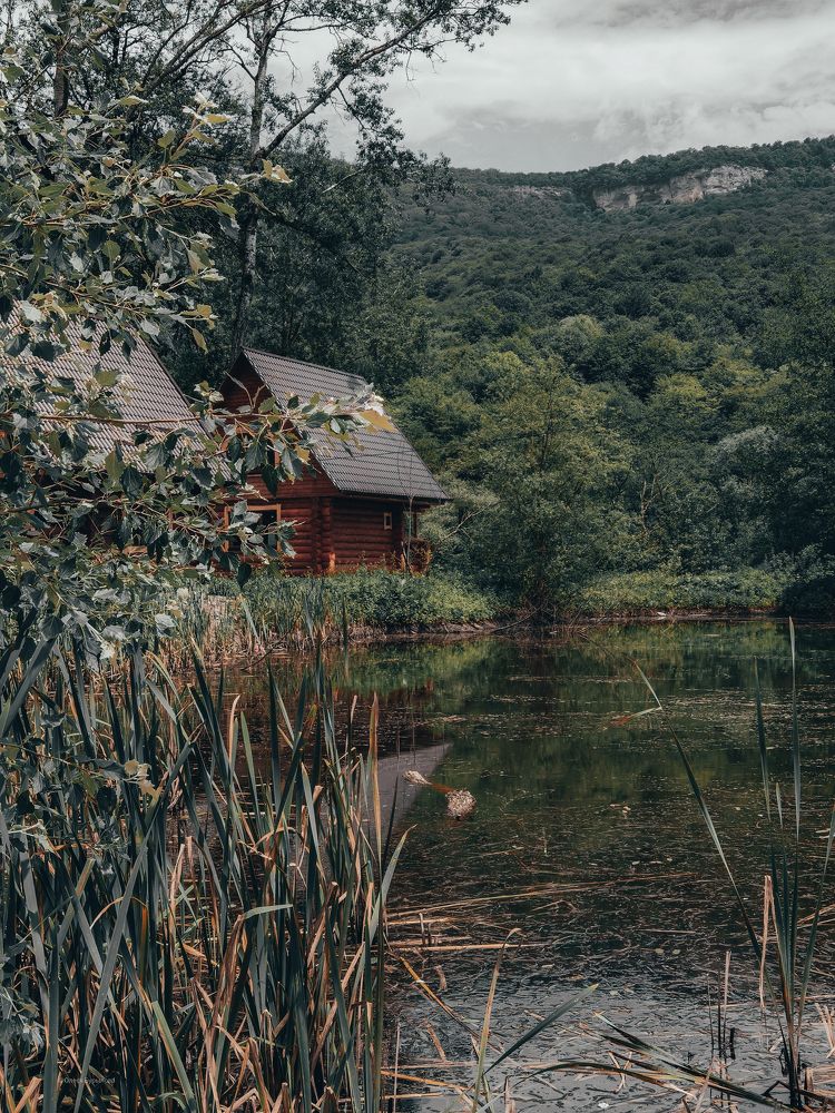 Фотография автора Олеся Николаевна