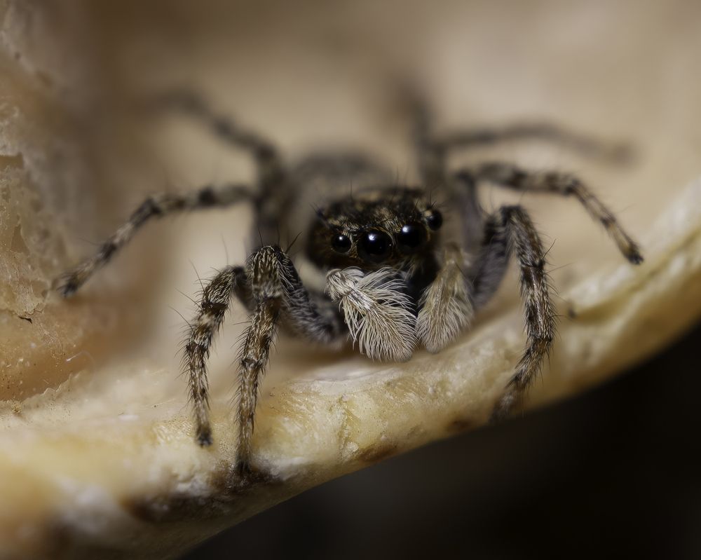 Photograph by Sajkovski Dejan